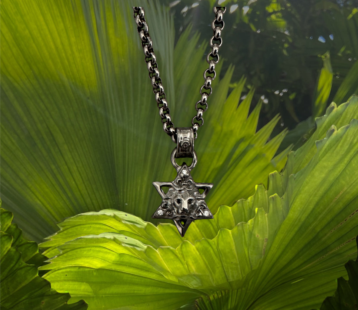 Star of David w Lion & FDL