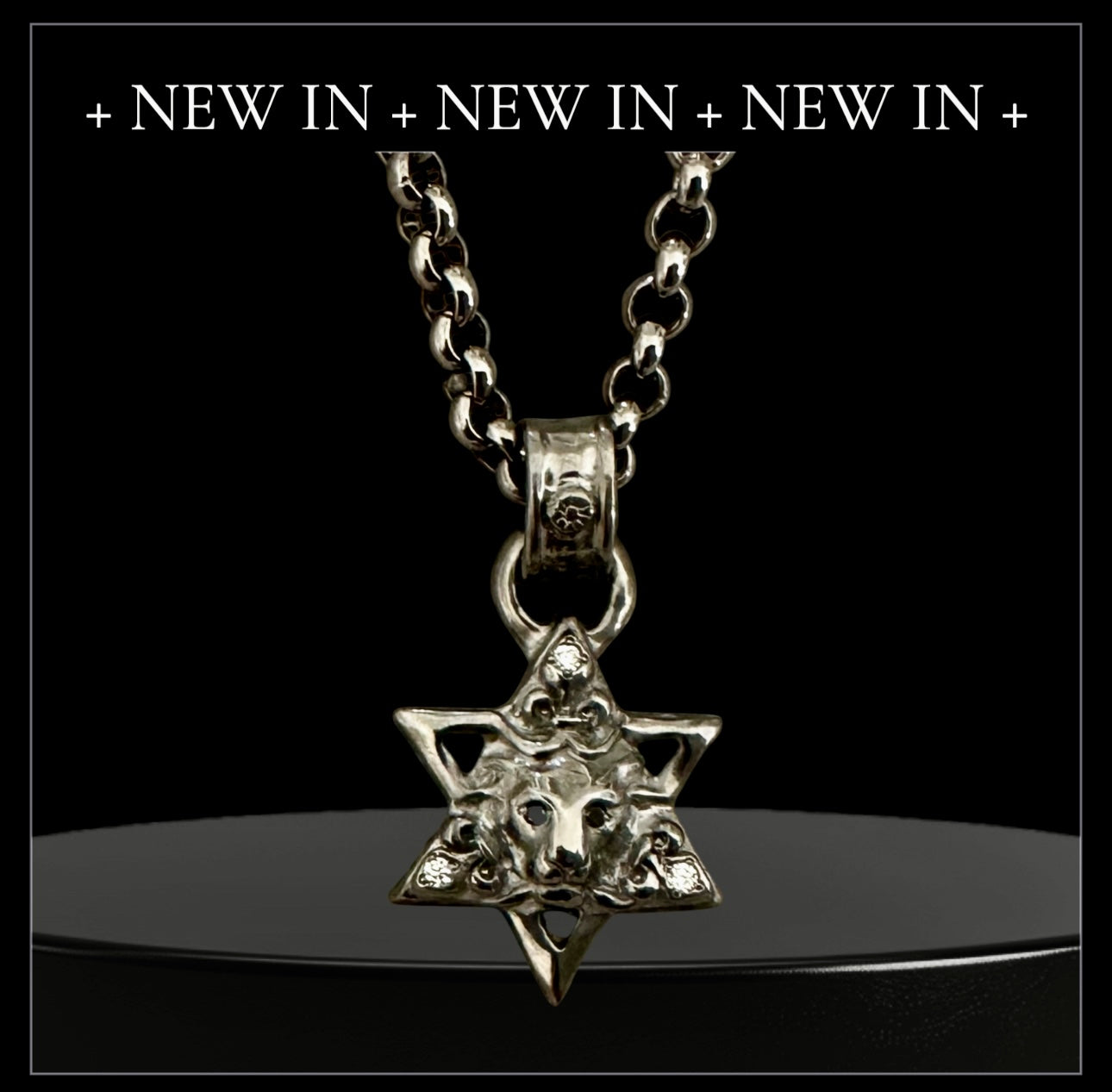 Star of David w Lion & FDL