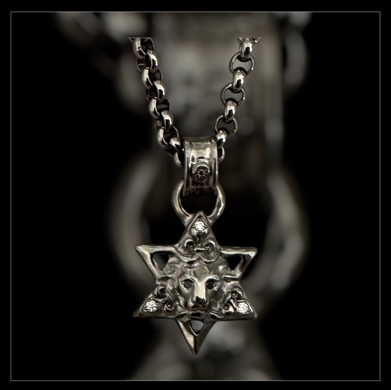 Star of David w Lion & FDL