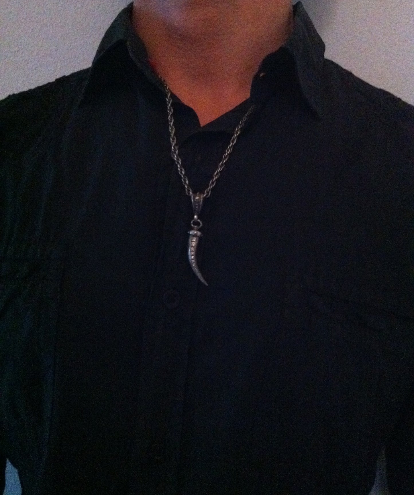 Silver Italian Horn with Skull by Roman Paul